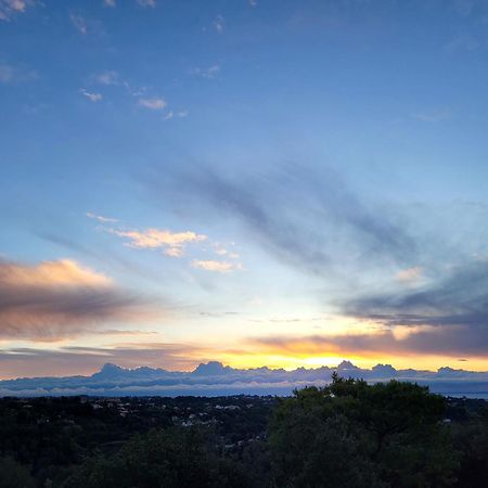 Studio Climatise, Vue Imprenable-Wifi Vence Exteriör bild